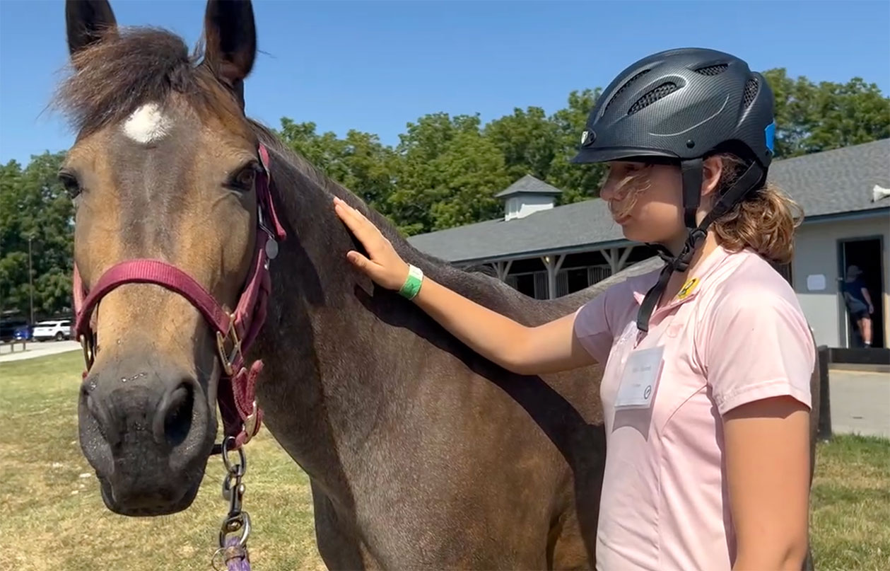 Photo of horse relaxing as girl touches her neck.