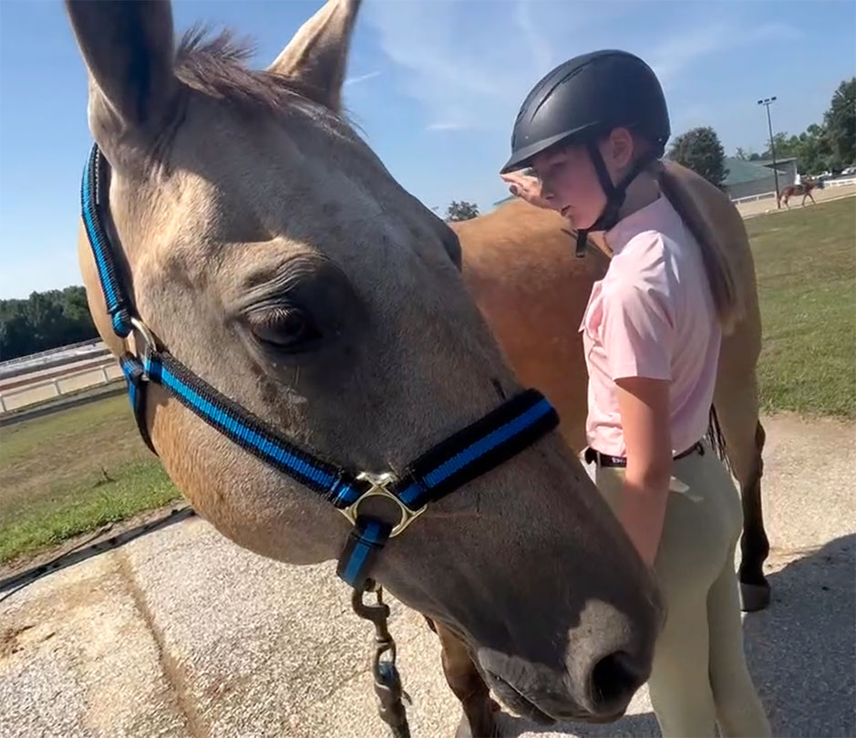 Photo of horse with girl