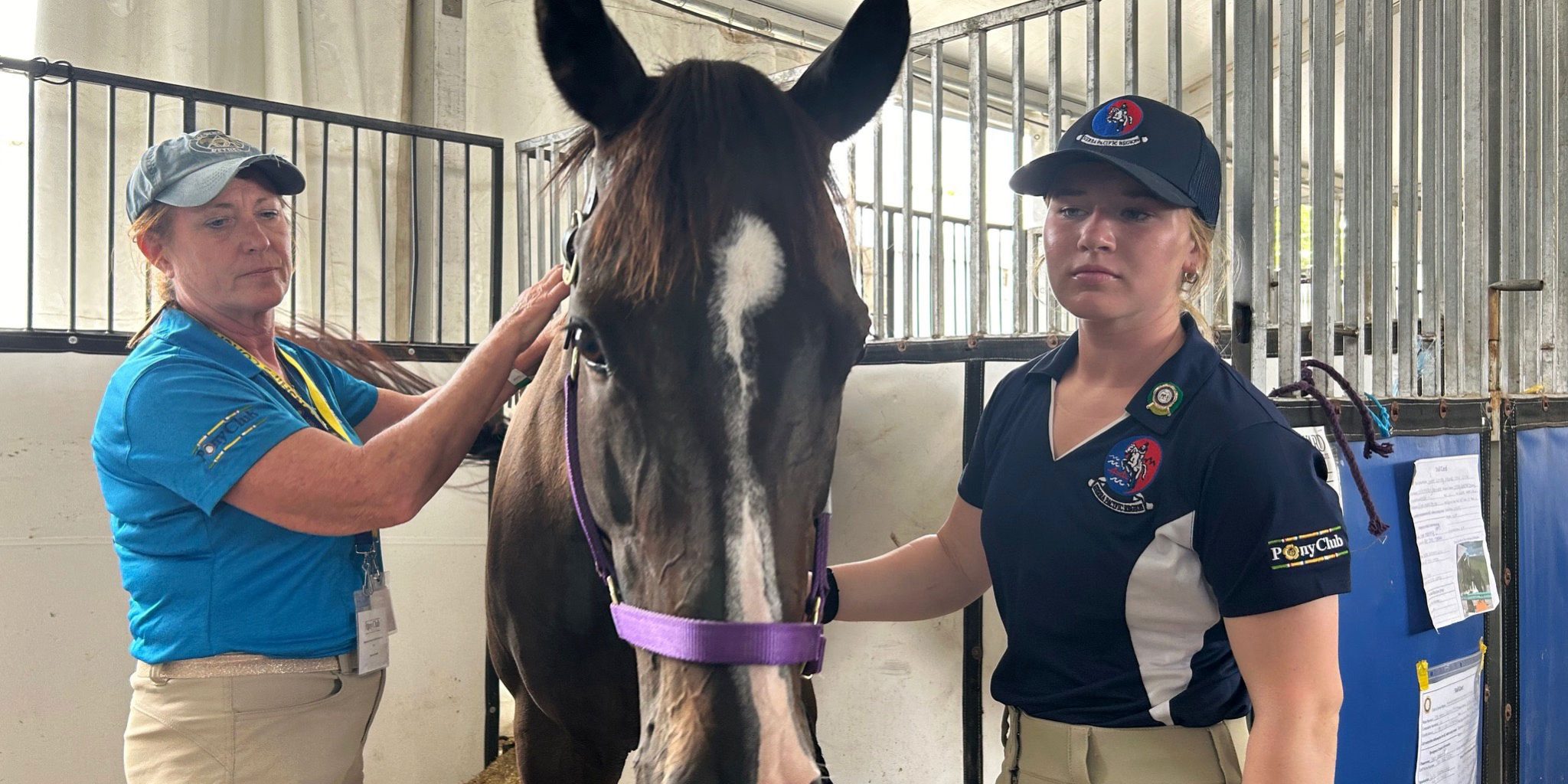 Mimi helping mare at US Pony Club nationals Photo of horse receiving Masterson Method bodywork in a stall.