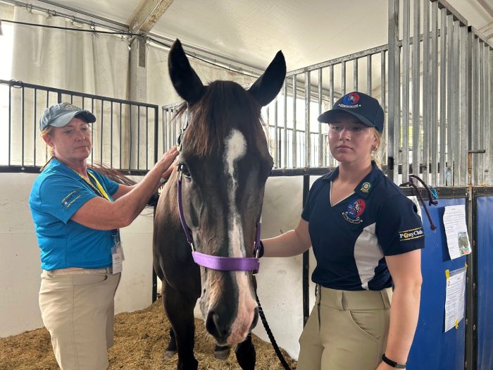 Mimi helping mare at US Pony Club nationals Photo of horse receiving Masterson Method bodywork in a stall.