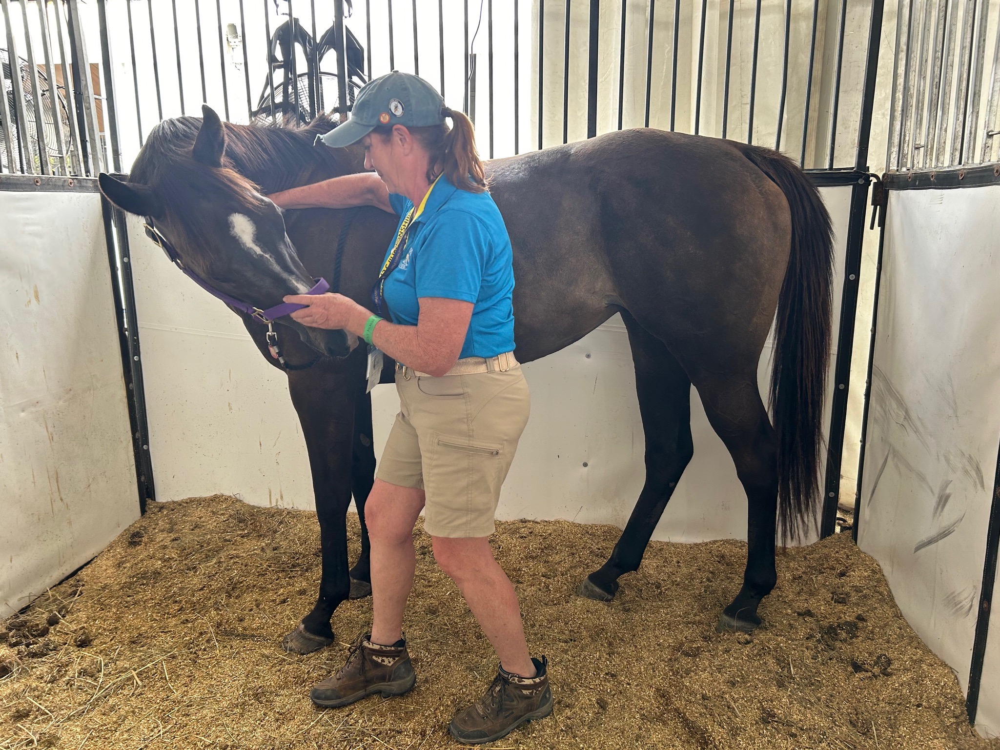 Woman flexing horse's head laterally in a bodywork session.