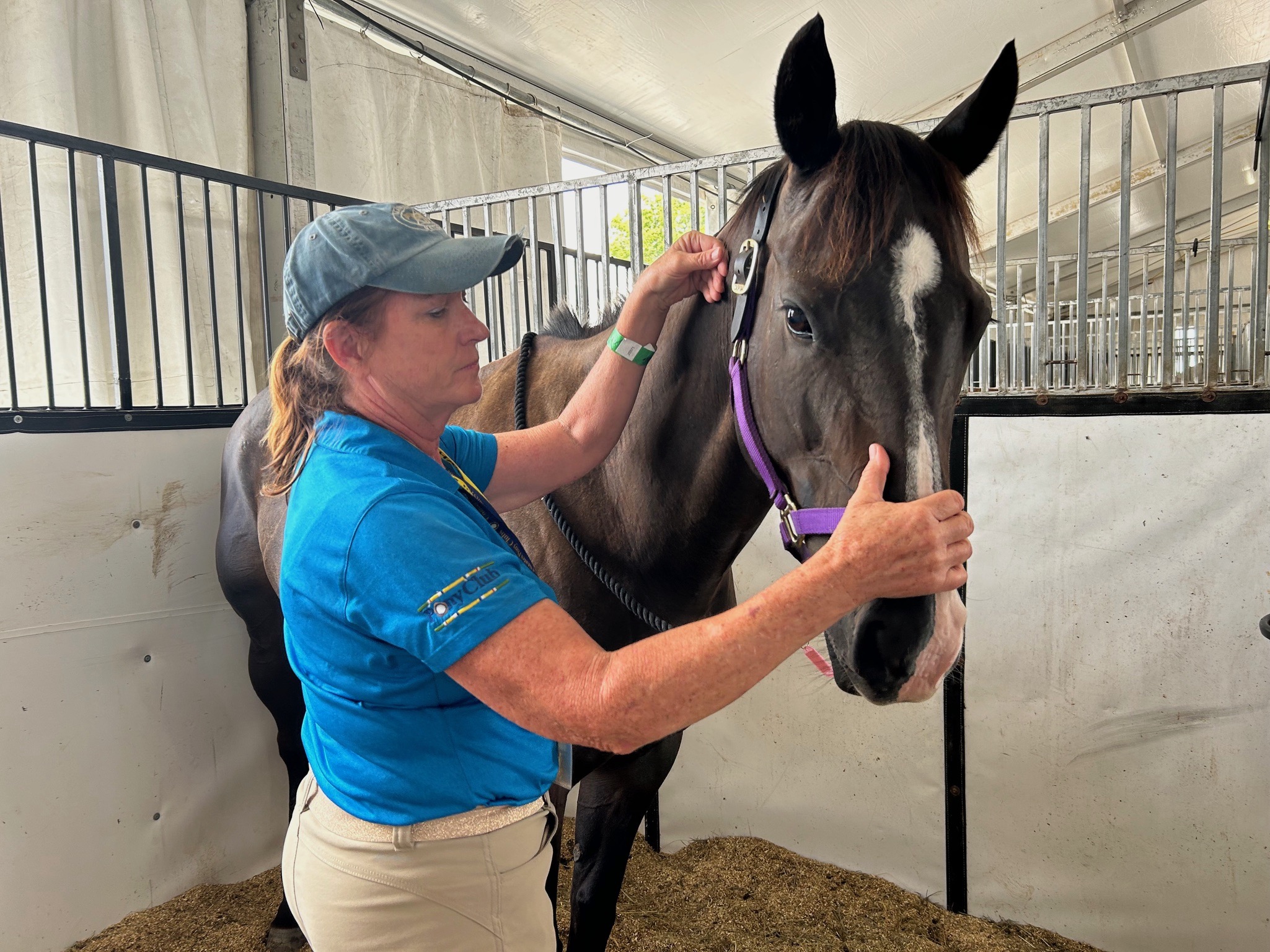 Woman holding horse's nose and touching neck lightly.