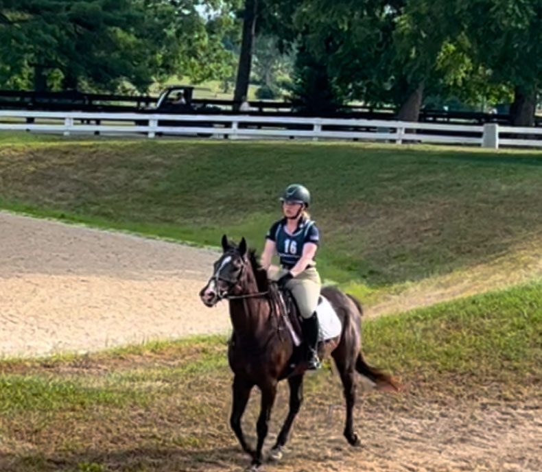 Photo of young woman riding a horse English in a competition.