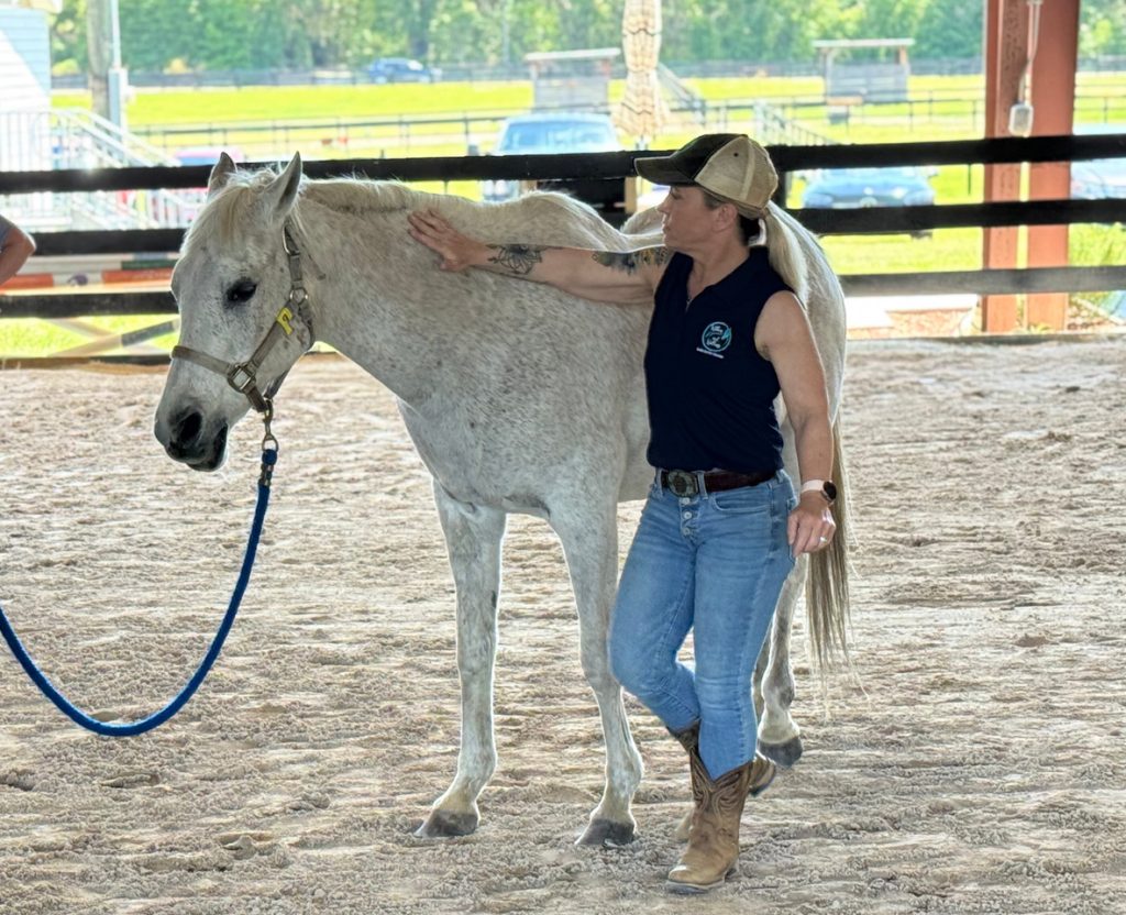 VeteransBlogPost-Teaching Photo of woman with palm of hand along horse's neck as horse relaxes.