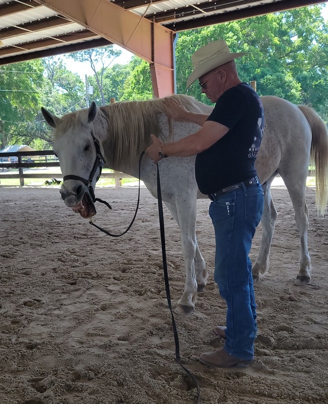 VeteransBlogPost-Vet Doug Horse yawning as man with cowboy hat lightly touches top of horse's shoulder.