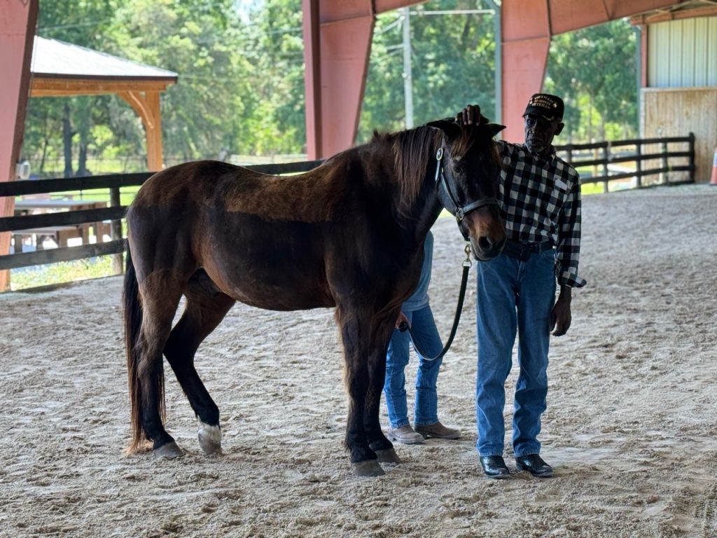 VeteransBlogPost-Vet Raymond Photo of man gently resting his hand on poll of horse as horse rests hind leg.