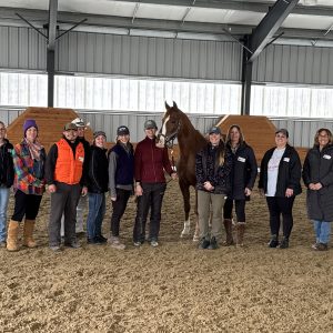 Circleville, NY: Weekend Course, April 18-19, 2026 with Jackie Kimmel