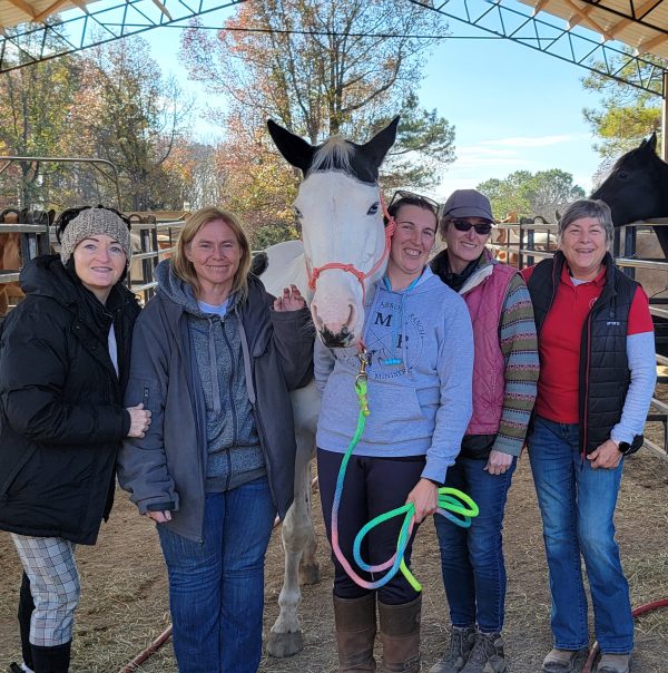 Cleveland, TN: Weekend Course, November 8-9, 2025 with Kathy Tow