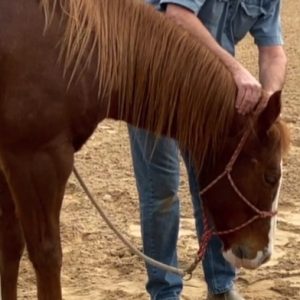 The Masterson Method Head Down Technique
