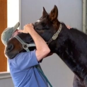 The Masterson Method Head Up Technique