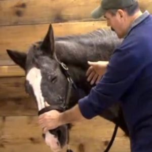 The Masterson Method Lateral Cervical Technique
