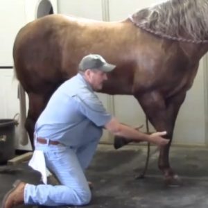 The Masterson Method Scapula Releases Technique