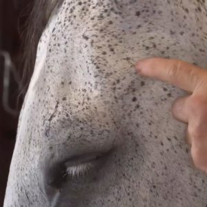 The Masterson Method TMJ Point