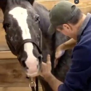 The Masterson Method Under Scapula Technique