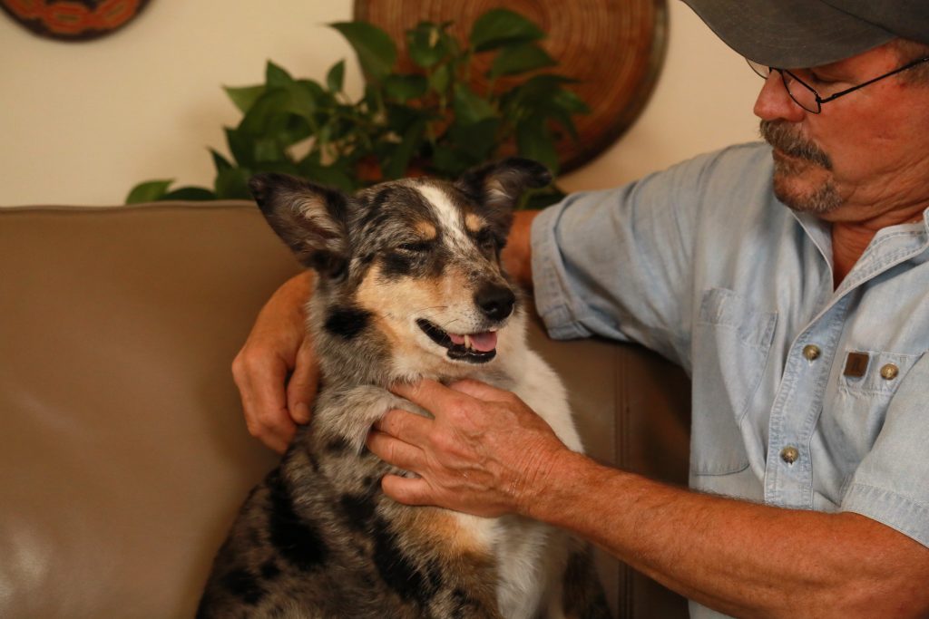 Jim Masterson Massaging Dog