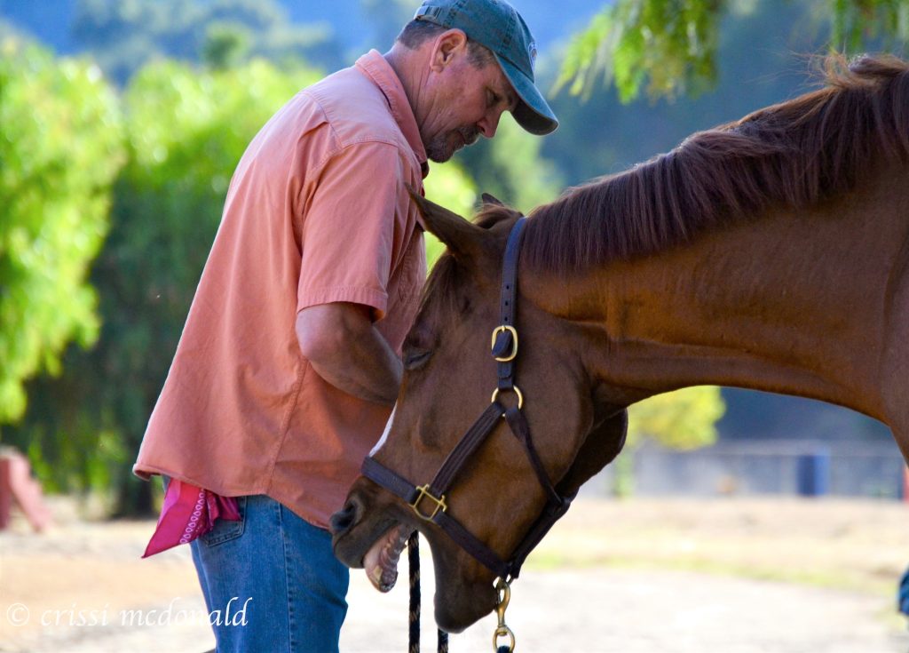 Jim with horse releasing