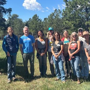 Equine Training Group with Horse