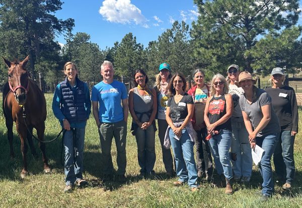 Sedalia, CO: Weekend Course, May 2-3, 2026 with Kim Hollstein