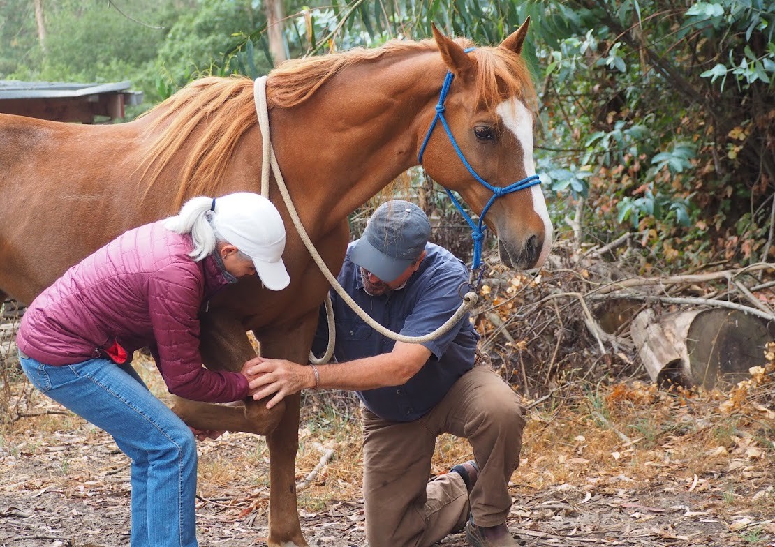 Jim Masterson with Equine Student