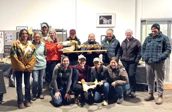 Gidgegannup, WA, AU: Weekend Course, May 9-10, 2026 with Emma Young