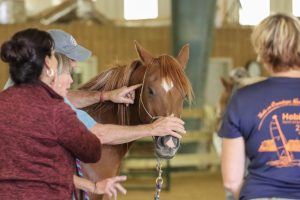 23-IMG_5060 23-IMG_5060