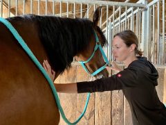 Christine Weinberger MMCP A woman working with a horse.