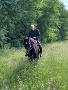 A man riding a horse through a pasture.