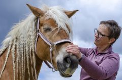 A woman working with a horse.