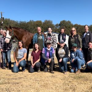 Group photo of students after a Masterson Method equine bodywork course