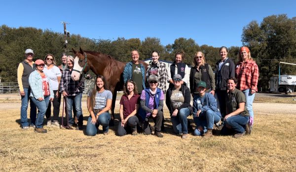 Group photo of students after a Masterson Method equine bodywork course