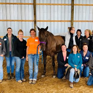 Group photo of students after a Masterson Method equine bodywork course.