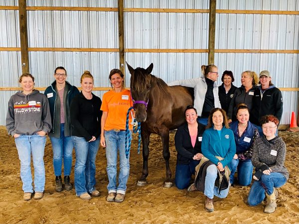 Group photo of students after a Masterson Method equine bodywork course.