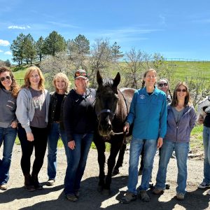 Steamboat Springs, CO: Weekend Course, July 18-19, 2026 with Kim Hollstein