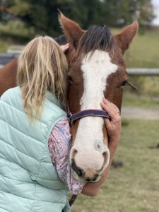 Student practicing a Masterson Method technique with a horse to release tension in the poll.