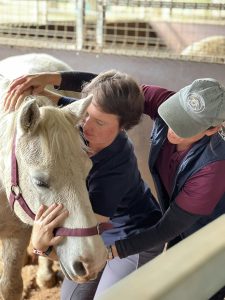 Student of Masterson Method course learning how to help horse release tension in the poll.