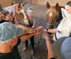 Photo of 6 Masterson Method students joining hands as they hold two horses.