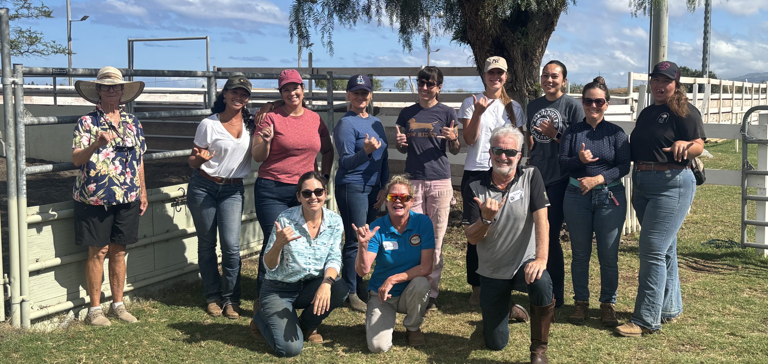 Waikoloa, HI: Weekend Course, May 16-17, 2026 with Amy Alford