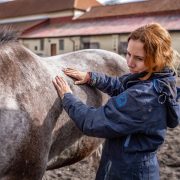 Barbora Denkova MMCP A woman working with a horse.
