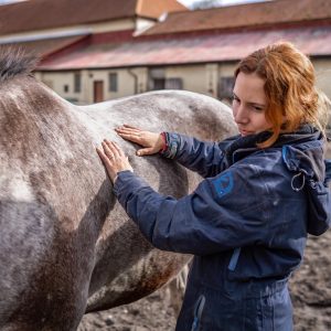 A woman working with a horse.