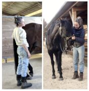 Fergus Padel, MMCP A woman working with a horse.