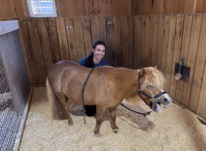 A woman laughing with a yawning mini horse.
