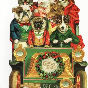 6444182939_322d2d16f7_b