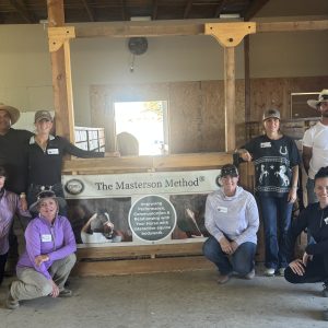 San Miguel, CA: Weekend Course, November 7-8, 2026 with Amy Alford