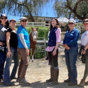 Lake View Terrace, CA: Weekend Course, April 18-19, 2026 with Amelia Nalli