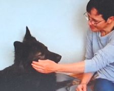 A woman working with a dog.