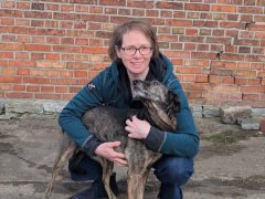 A woman with her dog.