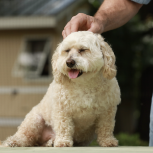 Screenshot 2025-09-22 at 13.32.18 Screenshot 2025-09-22 at 13.32.18