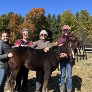 Sainte-Clotilde-de-Beauce, QC, Canada: Weekend Course, August 15-16, 2026 with Sylvie Vallières (taught in French)