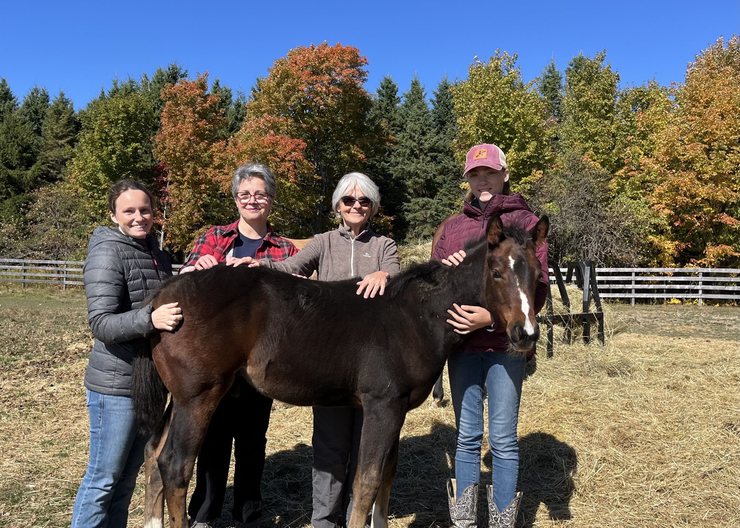 Sainte-Clotilde-de-Beauce, QC, Canada: Weekend Course, August 15-16, 2026 with Sylvie Vallières (taught in French)