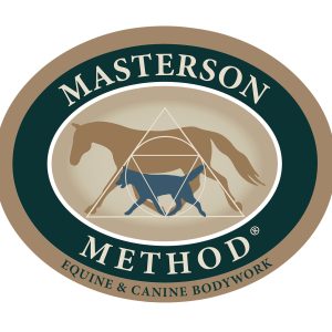 Canine Anatomy and Biomechanics – Sundays at 11AM - May 3, 10, 17, 2026 with Stef Watts